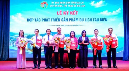 Sở Văn hóa, Thể thao và Du lịch, Sở Du lịch các tỉnh, thành phố trong nước ký biên bản hợp tác phát triển sản phẩm du lịch tàu biển. Ảnh: Đoan Ngọc