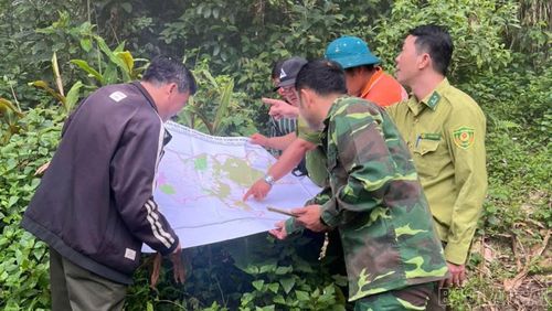Xã Bản Xèo tăng cường các giải pháp bảo vệ rừng tự nhiên.