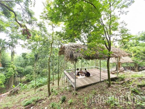 Chị Nguyễn Ngọc Hiên cải tạo khu vườn thành điểm trải nghiệm xanh, vừa bảo tồn thiên nhiên vừa giúp bà giảm bớt gánh nặng kinh tế.