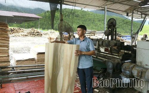 Xưởng chế biến gỗ của gia đình anh Đặng Văn Hòa giải quyết việc làm cho nhiều lao động địa phương.