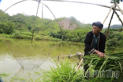 Ở tuổi 74, ông Đặng Đình Điện vẫn cần mẫn lao động, phát triển kinh tế gia đình.