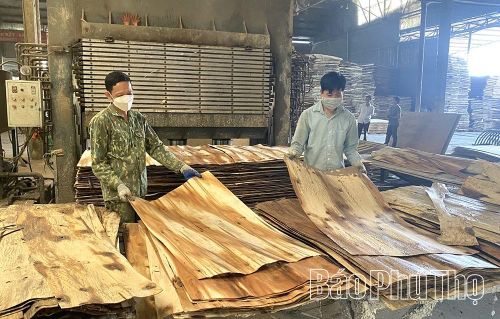 Hoạt động sản xuất tại cơ sở gỗ ép tư nhân góp phần thúc đẩy phát triển kinh tế địa phương.
