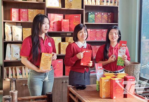 Các hợp tác xã sản xuất, chế biến chè đạt mức thu nhập bình quân 9-10 triệu đồng/người/tháng.