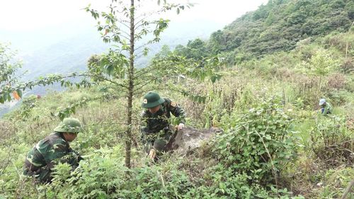Bộ đội Biên Phòng Thanh Hóa đồng hành cùng người dân mở hướng thoát nghèo nơi biên giới.