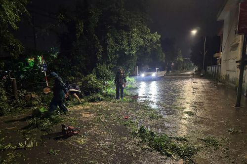 Sau nhiều giờ tích cực làm việc của lực lượng chức năng xã An Khánh, hiện trường nơi có cây đổ đã cơ bản được giải tỏa, giao thông được đảm bảo an toàn. Ảnh: AK