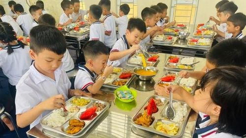 Xanh hóa và địa phương hóa bữa ăn bán trú không chỉ là một giải pháp dinh dưỡng nhất thời mà là tầm nhìn chiến lược cho tương lai.