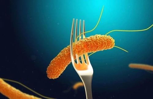  Vi khuẩn Salmonella là thủ phạm quen thuộc trong các vụ ngộ độc tập thể. Ảnh: Shutterstock. 