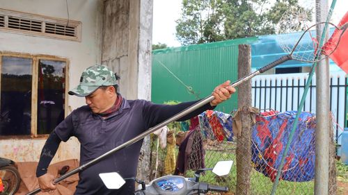  Dụng cụ hái bơ. Ảnh: HỮU PHÚC 