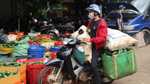  Người gom bơ vườn chở bơ đến bán cho đại lý. Ảnh: HỮU PHÚC 