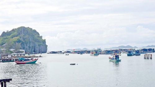 Những lồng bè nuôi cá trải dài quanh đảo Hòn Nghệ, nguồn sinh kế chính của hàng trăm hộ dân địa phương