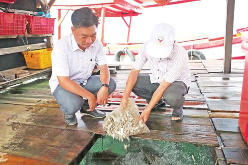 Ông Ngô Ngọc Chuẩn - Chủ tịch UBND xã Hòn Nghệ trao đổi với người dân về tình hình nuôi cá lồng bè
