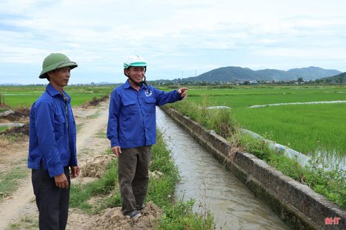 Diện tích lúa hè thu tại xã Can Lộc phát triển tốt.