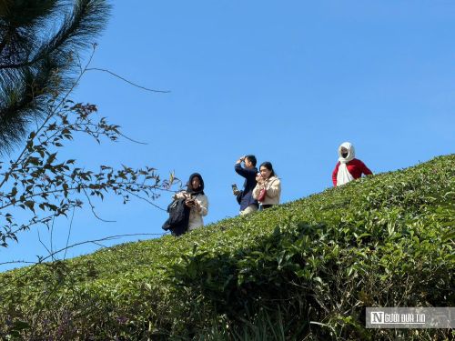 Nhiều du khách lựa chọn nơi đây là điểm dừng chân đầu tiên khi đến Đà Lạt để tận hưởng không khí trong lành và lưu lại những khoảnh khắc đẹp giữa thiên nhiên.