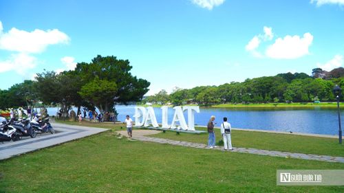 Bên cạnh đó, các dịch vụ chụp ảnh lưu niệm với ngựa, xe cổ hay những góc check-in ven hồ cũng góp phần tạo nên không khí nhộn nhịp tại khu vực Đà Lạt.
