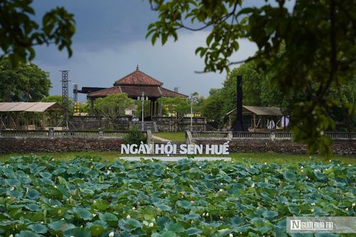 Ngày hội Sen Huế 2026 với chủ đề “Ngự Liên Thức Thủy” diễn ra từ ngày 19-21/6 tại Đảo Bồng Lai của Hồ Tịnh Tâm (phường Phú Xuân, Tp.Huế) đã mang đến không gian văn hóa, nghệ thuật và trải nghiệm đặc sắc gắn với loài hoa biểu tượng của xứ Huế.