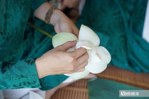Du khách trải nghiệm workshop ướp trà sen truyền thống, thưởng thức trà và giao lưu cùng các nghệ nhân nhằm tìm hiểu nét tinh tế trong nghệ thuật thưởng trà của người Huế.