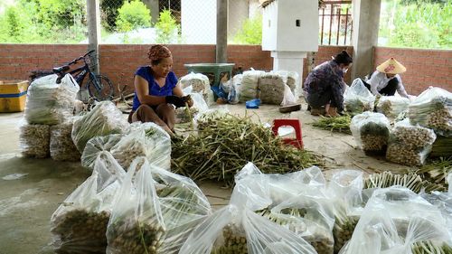 Công nhân sơ chế, đóng túi sả tươi tại gia đình chị Hoàng Thị Hương.