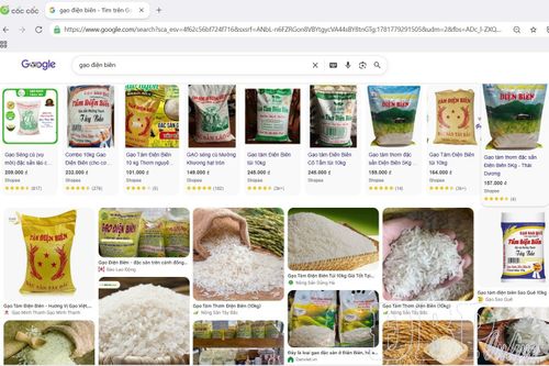 Chỉ cần vào google gõ cụm từ "gạo Điện Biên" lập tức có rất nhiều loại hiện ra nhưng không thuộc sản phẩm đã được công bố chỉ dẫn địa lý. 