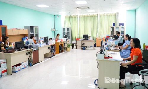 Nhân viên kế toán Phòng Tổ chức - Hành chính rà soát hồ sơ, chứng từ phục vụ hoạt động chuyên môn. 