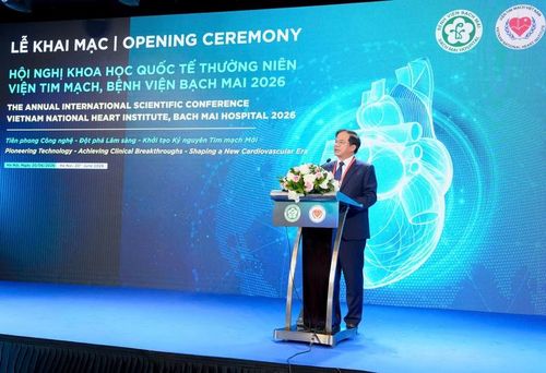 PGS.TS Đào Xuân Cơ, Giám đốc Bệnh viện Bạch Mai phát biểu tại hội nghị - Ảnh: VGP
