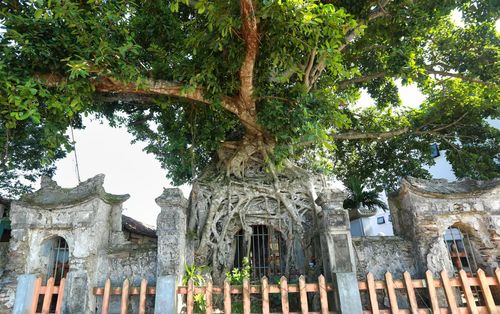 Nét cổ kính