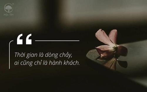 Hình minh họa. Nguồn: Internet