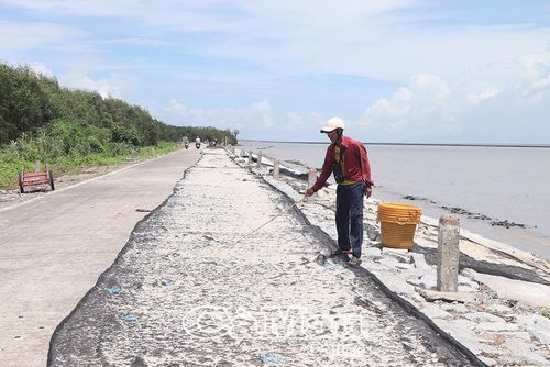  Người dân tranh thủ phơi ruốc dưới nắng để giữ trọn màu sắc tự nhiên cho thành phẩm.
