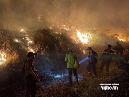 Các lực lượng đang tích cực chữa cháy. (Ảnh: Báo và Phát thanh, Truyền hình Nghệ An)
