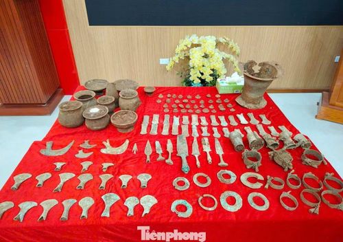  Bộ sưu tập bao gồm nhiều loại hình hiện vật phong phú, phản ánh đa dạng các mặt của đời sống xã hội thời kỳ Đông Sơn. Trong đó có các hiện vật sinh hoạt như thố đồng, nồi đồng, bát đồng, các công cụ sản xuất và lao động như dọi xe chỉ, cùng nhiều loại vũ khí như rìu chiến lưỡi xéo, rìu lưỡi xòe cân, rìu hình tứ giác, dao găm, lao, mác, mũi tên. Ngoài ra còn có các hiện vật trang sức như vòng tay, vòng chân và chân chạc bằng đồng. 