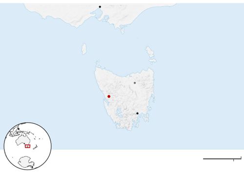  Tasmania là một bang hải đảo nằm ở cực Nam của nước Úc, cách đất liền khoảng 240 km. Ảnh: Guardian. 