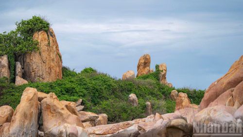  Bao quanh ngọn tháp cổ là những bờ đá mang hình thù kỳ thú, được thiên nhiên sắp đặt ngẫu hứng tạo nên lớp áo giáp vững chãi chắn sóng biển khơi. 