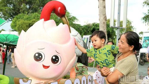 Du khách tham quan đường sen nghệ thuật.