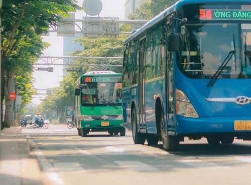 TP.HCM miễn phí vé trên 134 tuyến xe buýt.