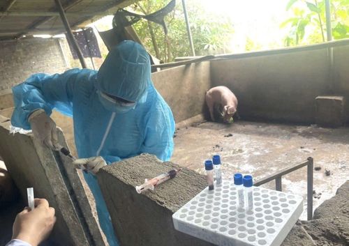 Cơ quan điều tra lấy mẫu giám định.