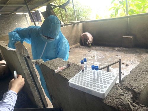 Cơ quan chức năng lấy mẫu giám định. Ảnh: CATH