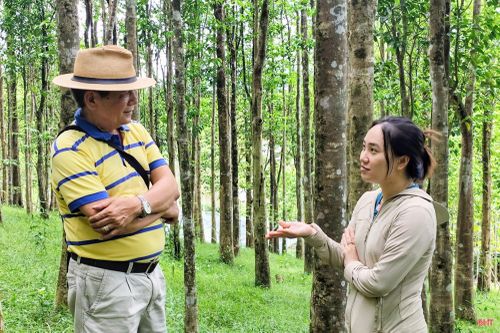 Nguyễn Thị Thùy Dung chia sẻ câu chuyện về trầm.