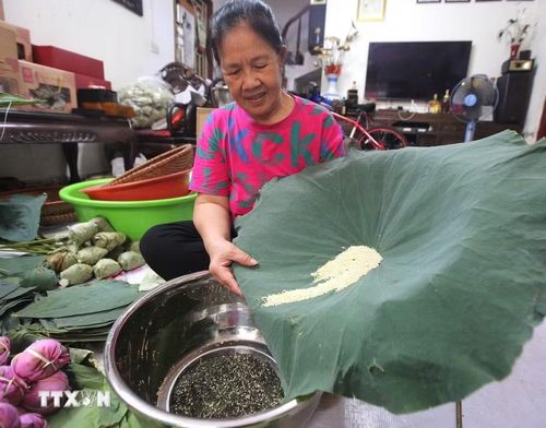 Ướp trà là công đoạn “then chốt” của nghề ướp sen truyền thống. (Ảnh: Khánh Hòa/TTXVN)