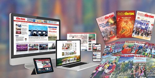 Báo Tin tức và Dân tộc, Báo điện tử VietnamPlus, Vietnam News, cùng hệ thống thông tin chuyên ngành đã tạo thành mạng lưới truyền thông đối ngoại có độ phủ rộng và sức lan tỏa lớn.