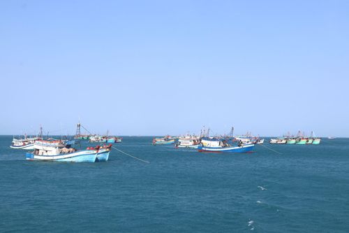 Tàu cá ngư dân neo đậu tại khu vực cảng cá Bến Đầm, Đặc khu Côn Đảo (TP Hồ Chí Minh). Ảnh: Viết Tôn/Báo Tin tức và Dân tộc