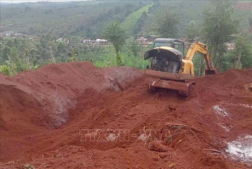 Tiêu hủy lợn nhiễm dịch tả lợn châu Phi tại xã Đức An, tỉnh Lâm Đồng. Ảnh: TTXVN phát