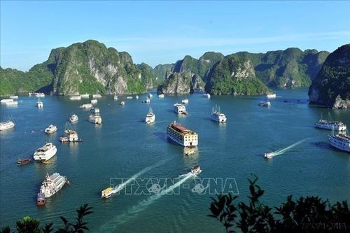 Cảnh đẹp trên vịnh Hạ Long. Ảnh: Minh Đức/TTXVN