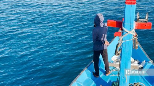 Để có được mẻ cá như mong muốn, ngư dân phải liên tục quan sát và phán đoán sự di chuyển của đàn cá.