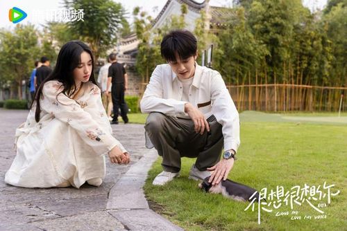 Chuyển thể từ tiểu thuyết cùng tên của Mặc Bảo Phi Bảo, Rất Nhớ Rất Nhớ Anh mang màu sắc chữa lành với câu chuyện tình yêu bắt đầu từ thế giới mạng. Nhân vật Cố Thanh đem lòng yêu mến giọng nói của Thương Thanh Từ - một nhân vật nổi tiếng trong giới lồng tiếng, đồng thời là bác sĩ tim mạch ngoài đời thực. Qua những lần hợp tác và tiếp xúc, cả hai dần phát triển tình cảm và cùng nhau viết nên câu chuyện tình yêu ngọt ngào. Bộ phim ghi điểm nhờ cách khai thác mới mẻ về lĩnh vực lồng tiếng, âm nhạc cổ phong và ẩm thực.