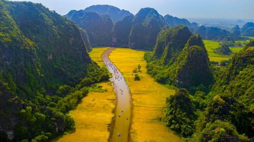 Tam Cốc mùa lúa chín.