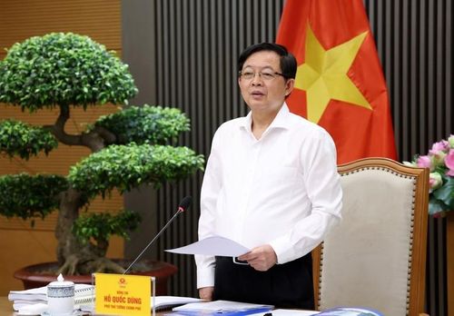 Phó Thủ tướng Hồ Quốc Dũng phát biểu tại Hội nghị. Ảnh: VGP