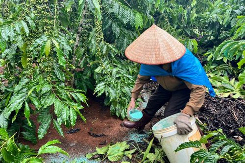 Vật tư nông nghiệp chất lượng góp phần cho nông sản và an toàn cho người tiêu dùng