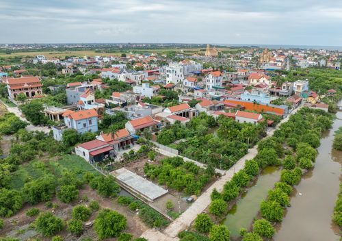 Các vườn cây đan xen trong các khu dân cư ở xã Hải Tiến.