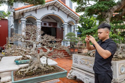 Ứng dụng công nghệ và nền tảng mạng xã hội giúp các nhà vườn ở Hải Tiến tự chủ khâu tiếp thị, kết nối trực tiếp tác phẩm với giới thưởng ngoạn toàn quốc.