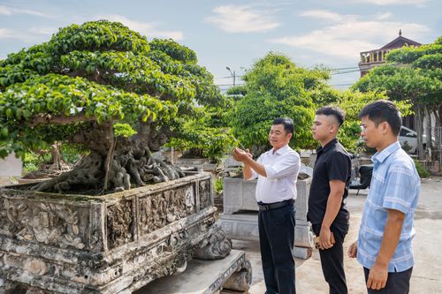 Nghệ nhân Hải Tiến trao truyền kỹ năng cắt, tỉa cây cho thế hệ kế cận.