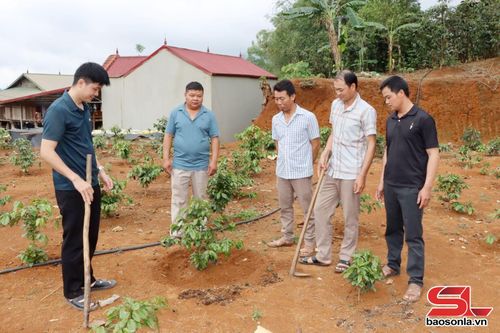 Trung tâm Dịch vụ tổng hợp xã Mường Chanh trao đổi kinh nghiệm trồng cà phê với các đảng viên chi bộ bản Nà Cà.